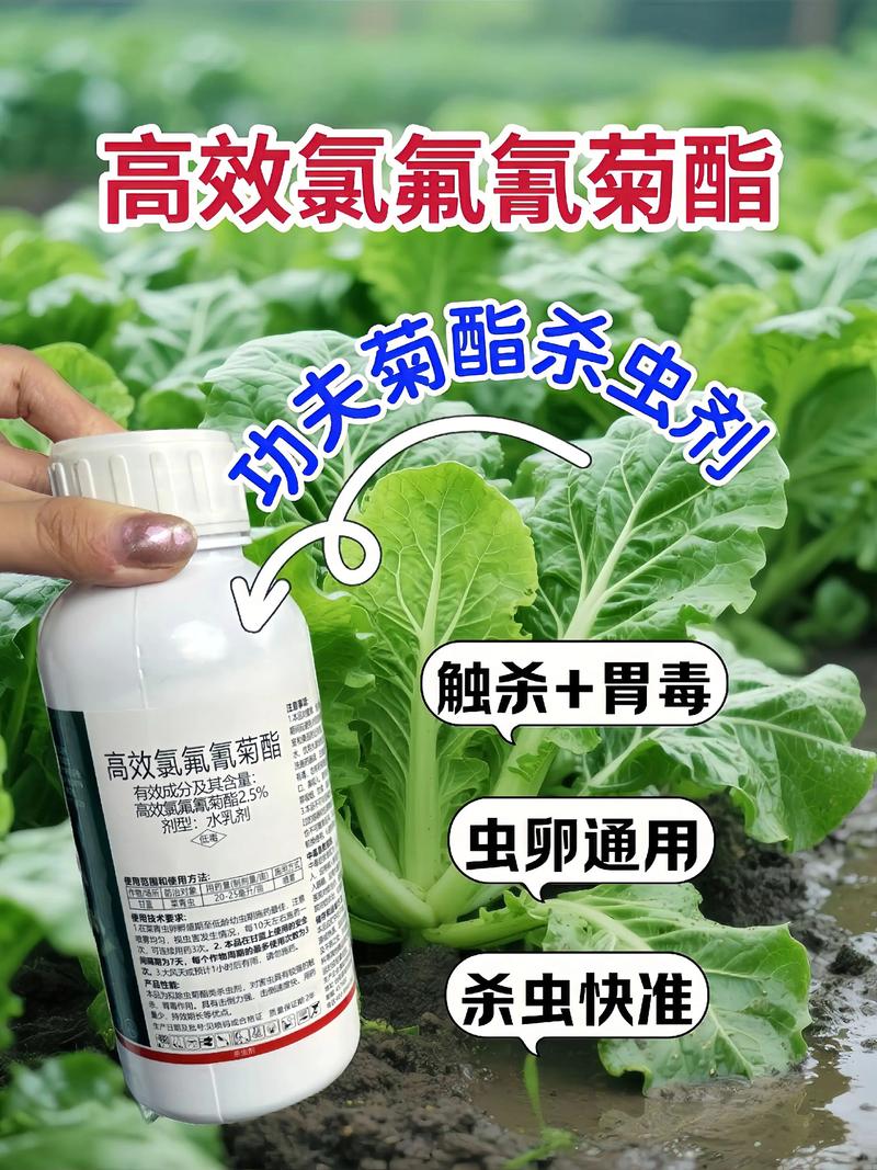 镇江代生中心:农药对供卵代生妈妈的危害